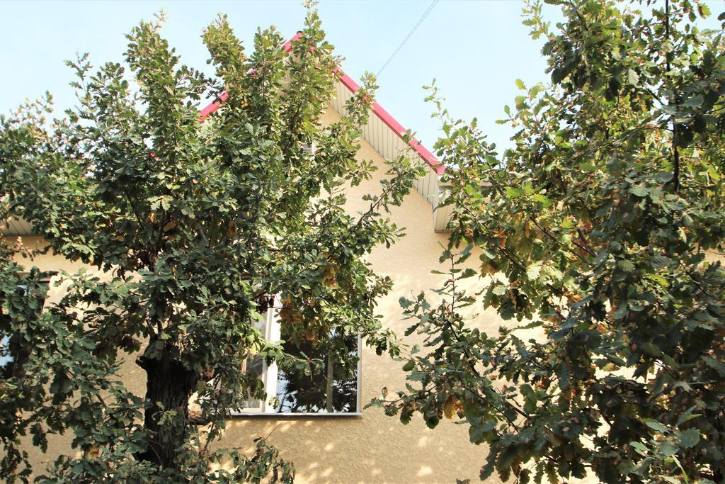 Tiny Hotel Bishkek Exterior photo